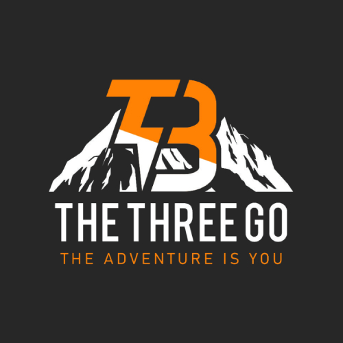 t3